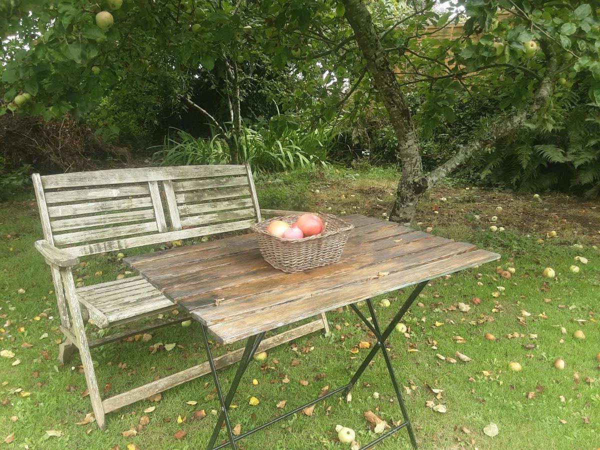 Tranquil Wood Cabin Set In A Beautiful Orchard Vila Penzance Exterior foto