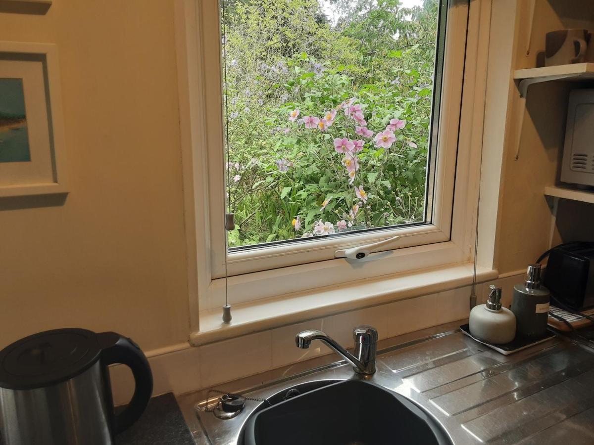 Tranquil Wood Cabin Set In A Beautiful Orchard Vila Penzance Exterior foto